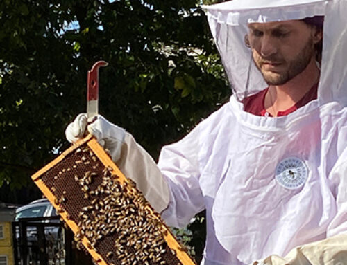 How Beekeeping Is Helping Homeless Men Get Back.